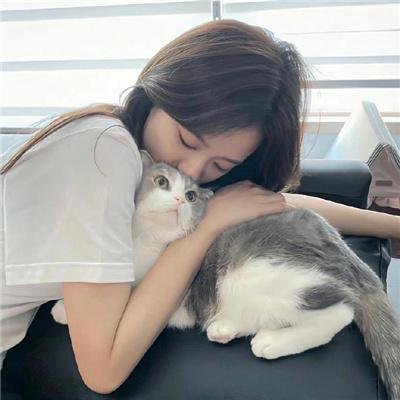猫头鹰之森